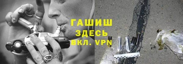 гидра Вязьма