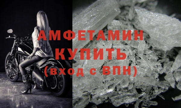 гидра Вязьма
