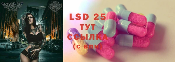 гидра Вязьма