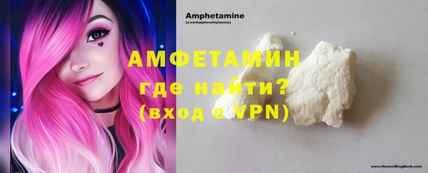 гидра Вязьма