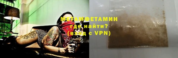 гидра Вязьма