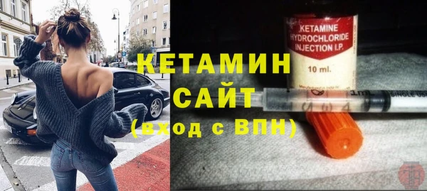 гидра Вязьма