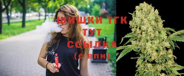 гидра Вязьма