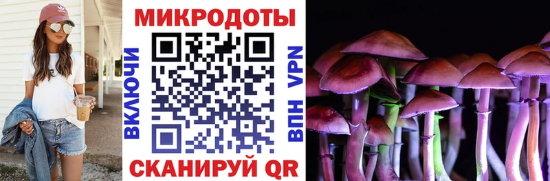 Галлюциногенные грибы GOLDEN TEACHER  Купить  Макушино 